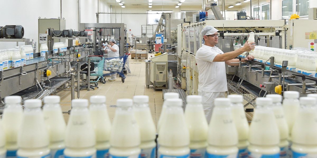Dairy Automation